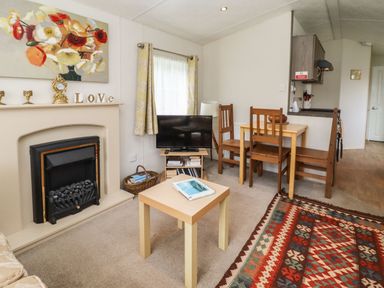 A living room with a fireplace a TV on a stand a small dining table with chairs and a patterned rug at Broad Down in Berrow