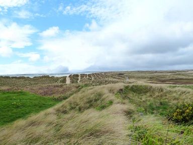 A landscape with grassy dunes and paths under a partly cloudy sky at Sandy Bank in Rhosneigr