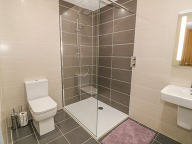 A bathroom with a toilet a walk in shower with glass panel a sink and a purple bath mat at Caer Moel in Caernarfon
