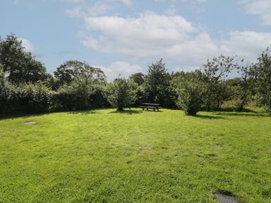 A grassy outdoor area with trees and a picnic table at Caer Moel in Caernarfon
