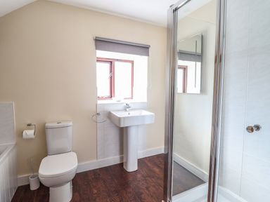 A bathroom with a toilet sink shower and window at Beudy Bach Barn in Llanuwchllyn near Bala