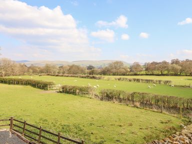 A pasture with sheep grazing surrounded by hedges and trees with hills in the background at Beudy Bach Barn in Llanuwchllyn near Bala