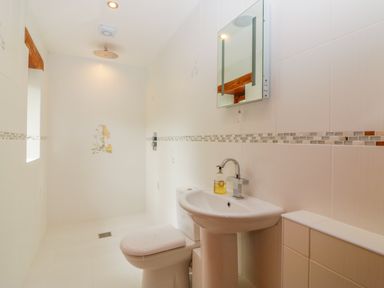 A bathroom with a toilet a pedestal sink a wall mirror and a walk in shower with a window at The Wagon House in Tresmeer near Launceston