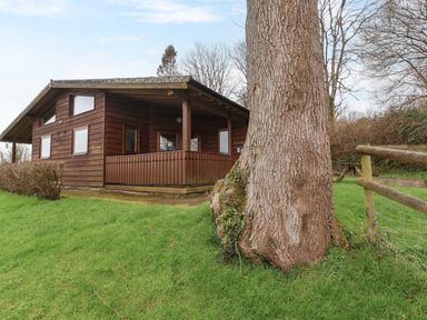 A wooden cabin with a porch surrounded by grass and a large tree near a wooden fence at The Ash Lodge near Lyme Regis
