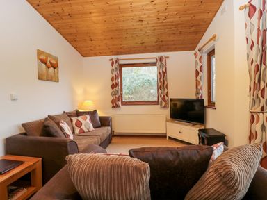 A living room with two couches a television on a cabinet and windows with patterned curtains at The Ash Lodge near Lyme Regis