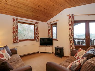 A living room with two sofas cushions a television and windows with patterned curtains at The Ash Lodge near Lyme Regis