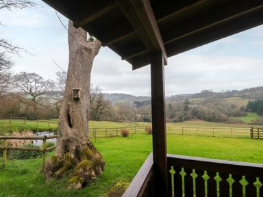 A wooden porch overlooking a green field with a large tree and a birdhouse near The Ash Lodge near Lyme Regis