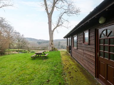 A wooden cabin with a picnic table on a grassy area and a large leafless tree near a wooden fence outside at The Ash Lodge near Lyme Regis