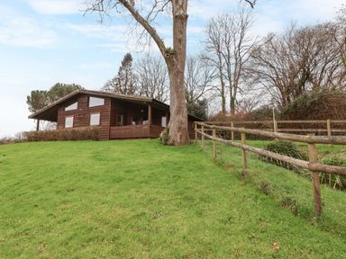 A wooden cabin on a grassy hill next to a large tree and a wooden fence at The Ash Lodge near Lyme Regis