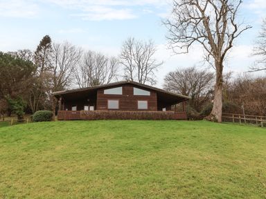 A wooden lodge with two small windows and a covered porch surrounded by grass and leafless trees at The Ash Lodge near Lyme Regis
