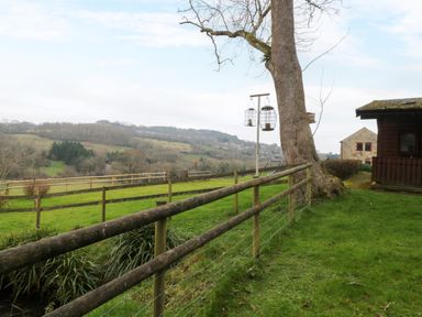 A fenced grassy area with trees and bird feeders beside wooden buildings at The Ash Lodge near Lyme Regis