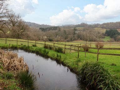 A pond surrounded by grass and fenced fields with trees and hills in the background at The Ash Lodge near Lyme Regis