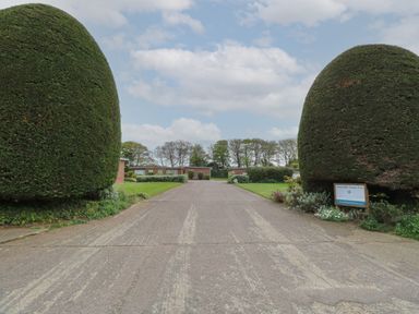 A driveway with trimmed large bushes on both sides and single story buildings at En-Casa in Mundesley