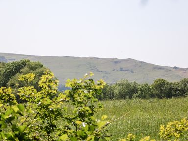 A green grassy field with trees and hills in the background at Shepherd's Hut in Castleton Peak District
