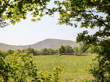A grassy field with trees framing a hill in the distance at Shepherd's Hut in Castleton Peak District