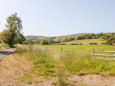 A country road next to a grassy field with hills and trees in the background at Shepherd's Hut in Castleton Peak District