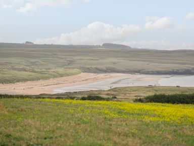 A beach with sand and water surrounded by grassy hills and a field with yellow flowers at Plas Bach in Aberffraw