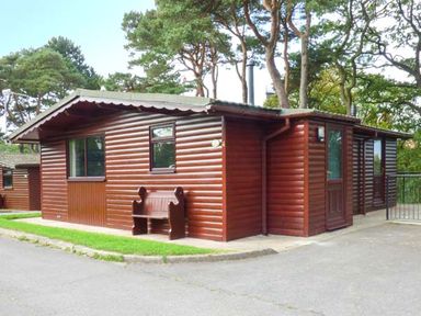 A brown wooden cabin with a bench outside surrounded by trees at Snowdrop in Saltburn-by-the-Sea