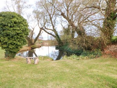 A small pond surrounded by trees and grass with a wooden bench nearby at Snowdrop in Saltburn-by-the-Sea