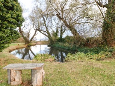 A small wooden bench on grass near a pond surrounded by trees and plants at Snowdrop in Saltburn-by-the-Sea