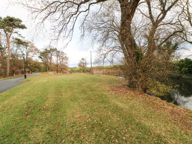 A grassy area with trees and a river next to a paved road with lamp posts at Snowdrop in Saltburn-by-the-Sea