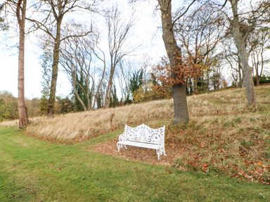 A white metal bench on grass near trees and dry grass at Snowdrop in Saltburn-by-the-Sea