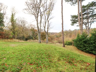 A grassy area with scattered leaves and tall trees surrounded by a forest with a bridge in the distance at Snowdrop in Saltburn-by-the-Sea