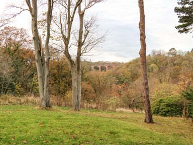 A grassy area with trees and a viaduct in the background at Snowdrop in Saltburn-by-the-Sea