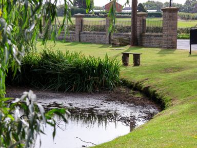 A pond and bench with landscaping features at Snowdrop in Saltburn-by-the-Sea