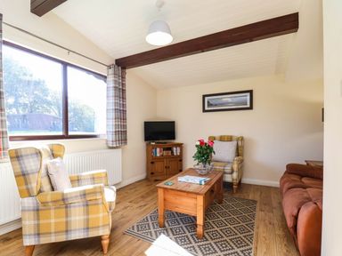 A living room with furniture and television at Snowdrop in Saltburn-by-the-Sea