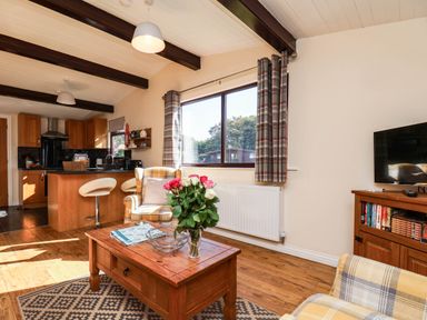 A living room with a coffee table and television at Snowdrop in Saltburn-by-the-Sea