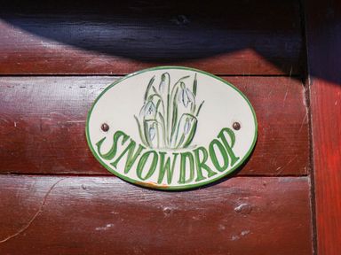 A sign with Snowdrop and plant illustration at Snowdrop in Saltburn-by-the-Sea