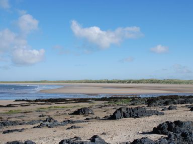 A beach with rocks scattered on the sand and low tide water under a blue sky at Maelog 14 Tides Reach in Rhosneigr