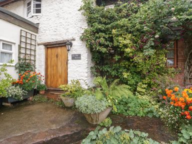 A garden area with potted plants and a wooden door on a white wall at The Old Bakery in Crowcombe