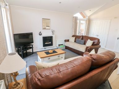A living room with brown leather sofas a coffee table a television on a stand and a wall-mounted fireplace at Tranquillity - Heritage Park in Stepaside near Kilgetty