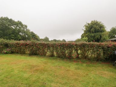 A garden with a trimmed hedge with red flowers and green grass at Floras Barn in Crowcombe