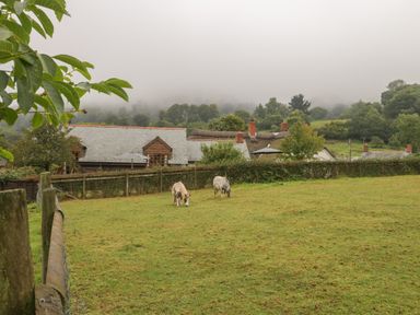 A grassy field with two ponies grazing near fenced houses in a rural area at Floras Barn in Crowcombe