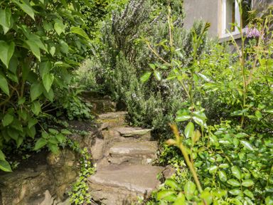 Stone steps surrounded by green plants and shrubs near a building at Viaduct House in Lydbrook