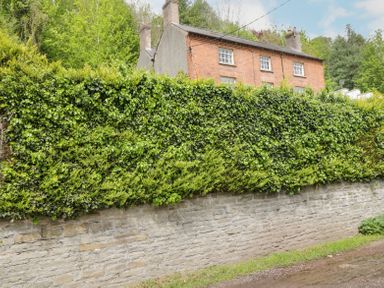 A brick house behind a tall green hedge and stone wall with trees in the background at Viaduct House in Lydbrook
