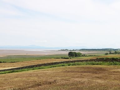 A coastal landscape with fields stone walls and trees near the shore at Cheri in Southerness
