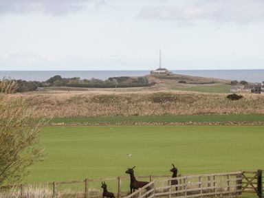 A green field with metal animal sculptures and a distant hill with a building and antenna at West Gate in Embleton
