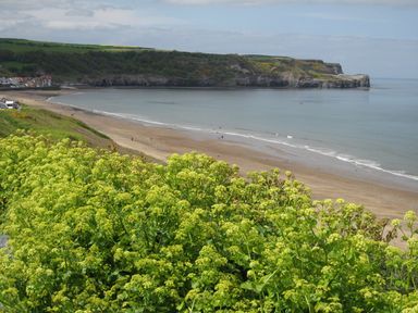 A beach with green plants in the foreground a headland in the background and a small group of buildings at The Office Gardens Apartment 2 in Whitby