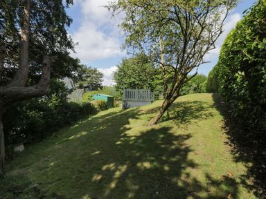 A garden with grass trees and a shed at Dale Cottage in Llanrwst