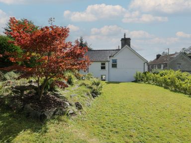 A garden with a tree and a birdbath in front of a white house at Dale Cottage in Llanrwst