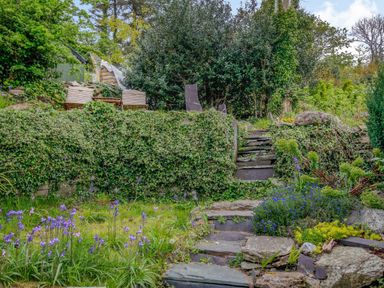 An outdoor garden area with stone steps leading up to wooden chairs and dense greenery at Pen Y Graig in Talysarn