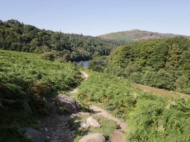 A hiking trail through green vegetation with trees and hills in the background at Rothay 17 in Ambleside