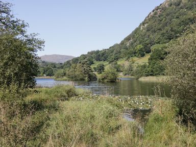 A lake surrounded by trees and grass with hills in the background at Rothay 17 in Ambleside