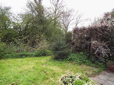 A garden with grass a small evergreen tree bushes and flower pots at The Old Cider House in Prestbury near Cheltenham