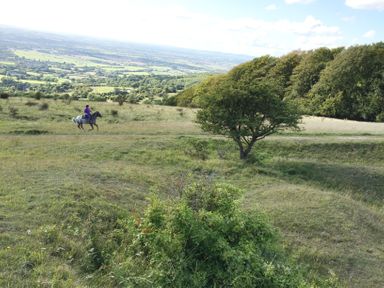 A landscape with a person riding a horse on a trail near trees and fields at The Old Cider House in Prestbury near Cheltenham