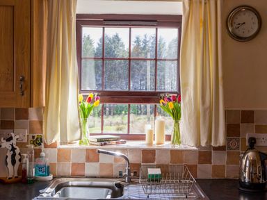 A kitchen window with curtains flowers candles and books above a sink with dish rack at Shepherds Retreat in Gortin